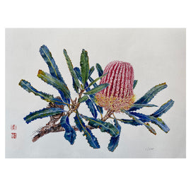 Firewood Banksia Limited Edition Print 11/500