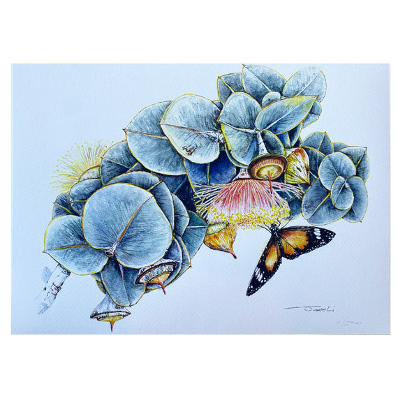 Rose Mallee with Butterfly Art Print