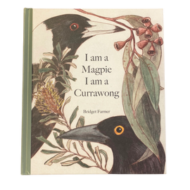 I am a Magpie I Am a Currawong