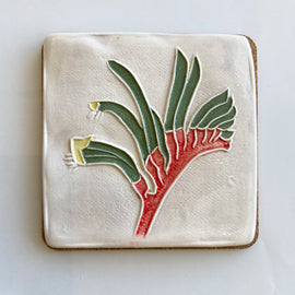 Kangaroo Paw Coaster