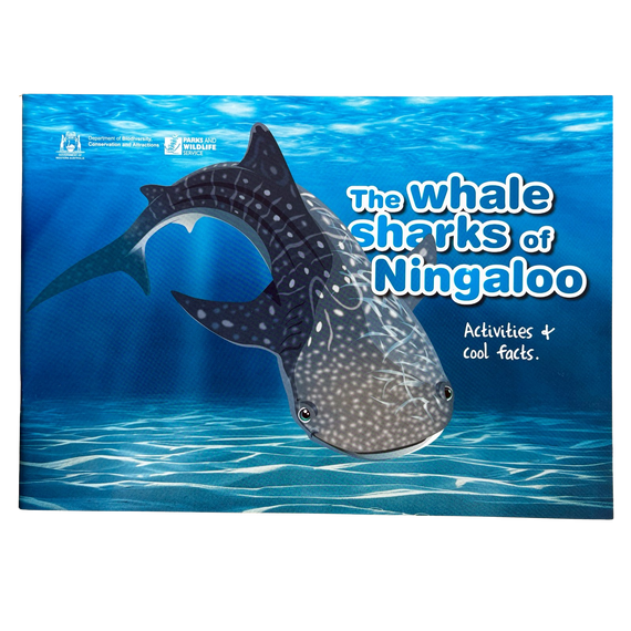 The Whale Sharks of Ningaloo Activity Book