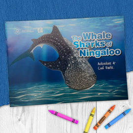 The Whale Sharks of Ningaloo Activity Book